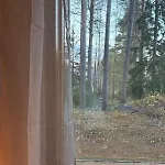 Arctic Aurora