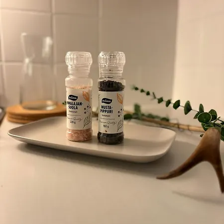 Apartamento Arctic Aurora *