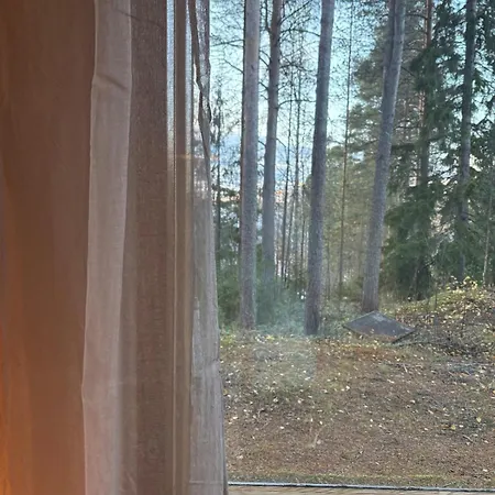Arctic Aurora