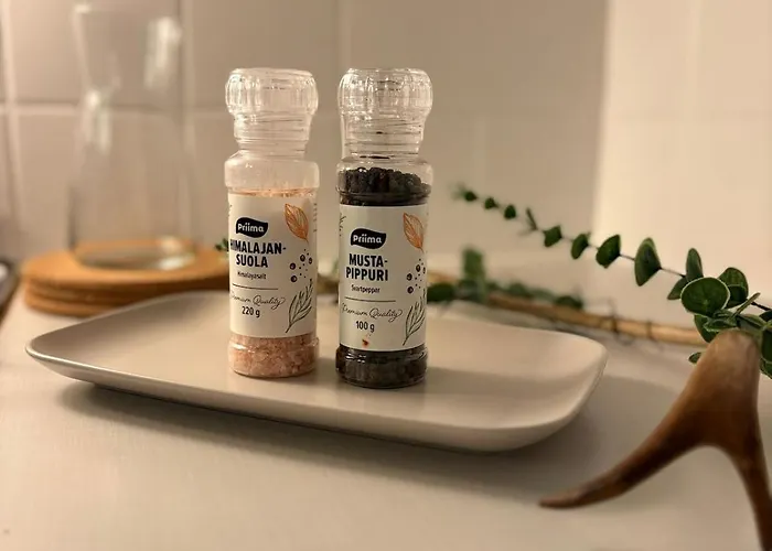 Апартаменты Arctic Aurora *